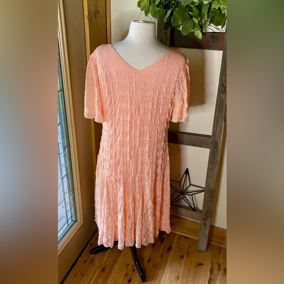 💥Rabbit Rabbit Rabbit Lined Lace Dress💥 NWT - Picture 5 of 14